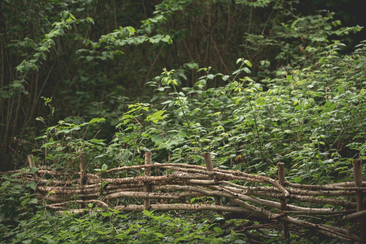 27 Garden Fence Ideas Australia Loves—That Actually Work in Real Backyards