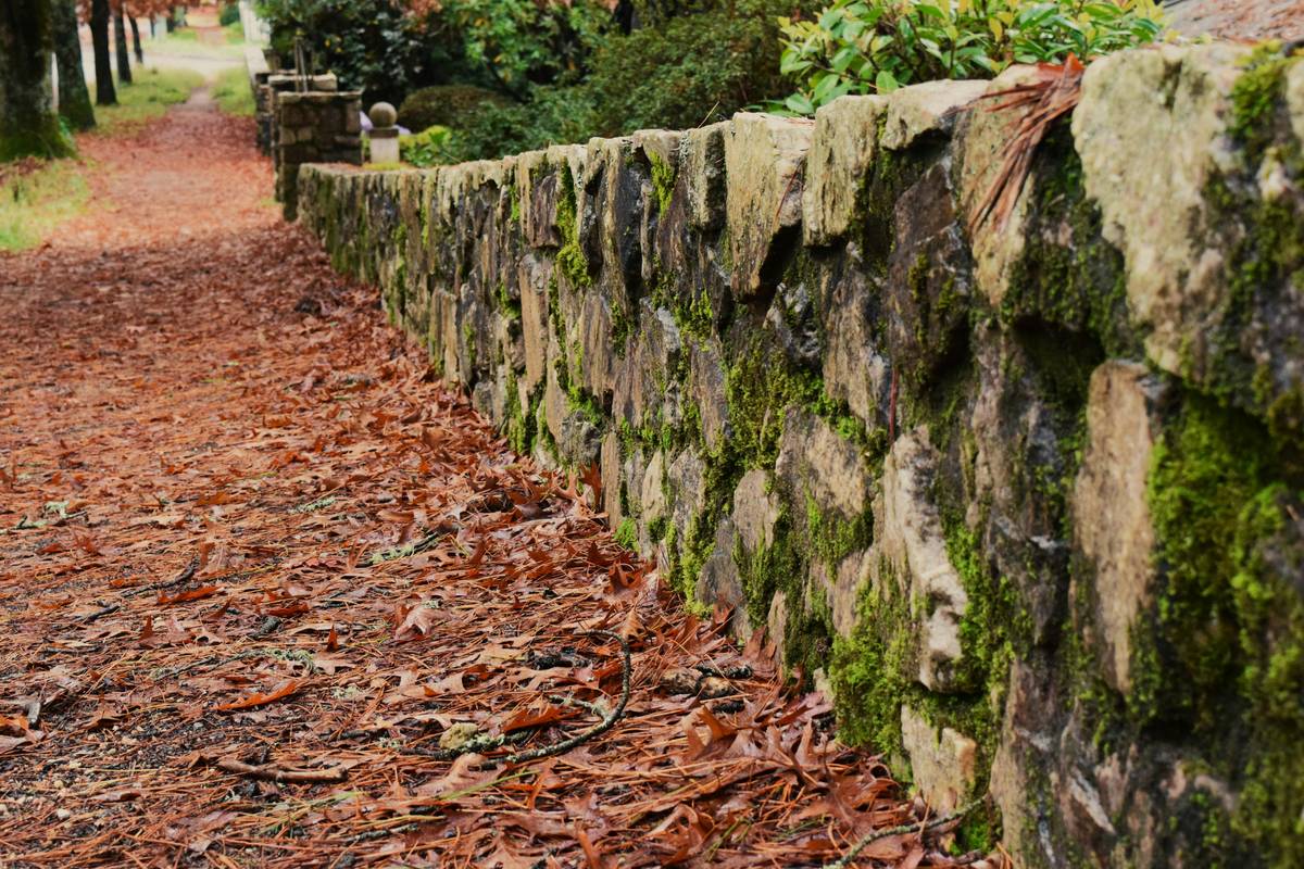 Creative garden edging ideas australia using recycled materials and proper grading