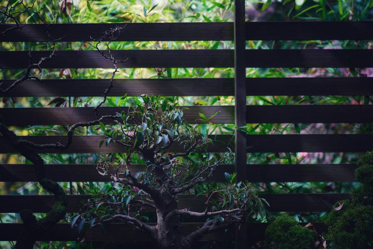 Modern horizontal slat garden fence ideas australia with integrated native planting