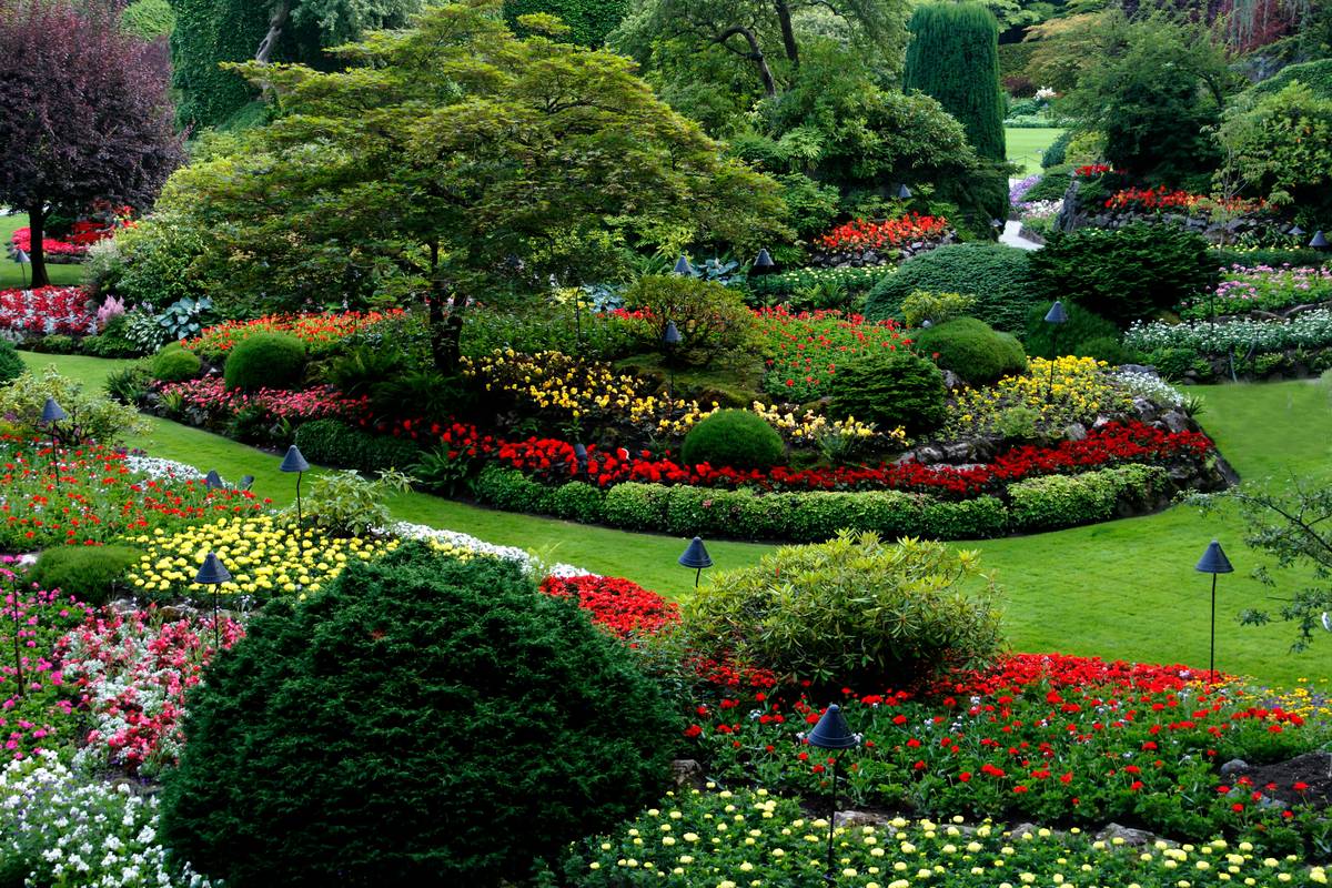 Why Your Garden Borders Fail—And How a Green Garden Service Fixes It for Good