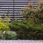 Garden Fence Area Ideas: 7 Proven Tips to Avoid Costly Mistakes