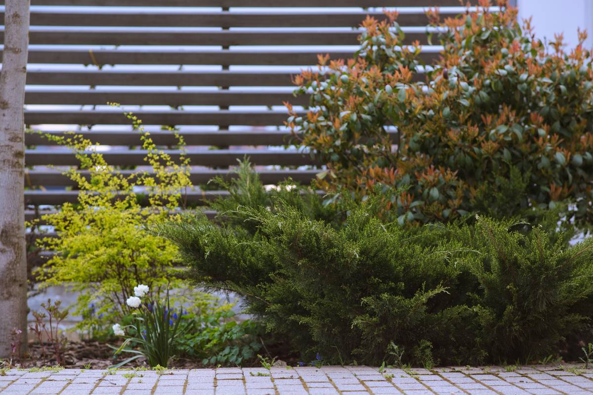 Garden Fence Area Ideas: 7 Proven Tips to Avoid Costly Mistakes