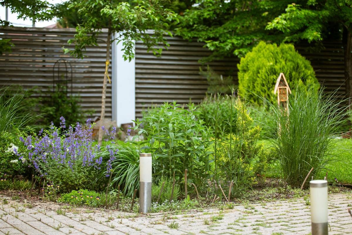 Garden Fence Edging Metal: 7 Proven Tips to Avoid Costly Mistakes