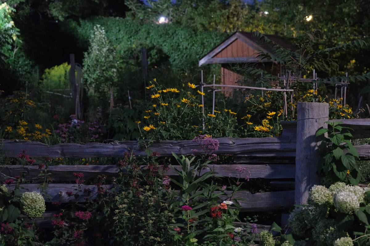 garden fence area ideas featuring mixed-height borders with ornamental grasses and climbing roses