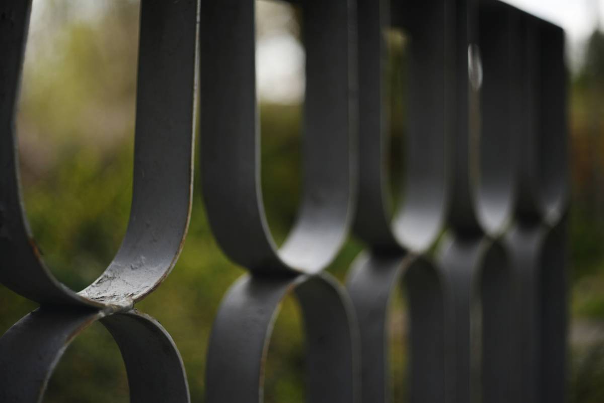 garden fence edging metal installed along a curved flower bed with vibrant tulips and neatly trimmed grass